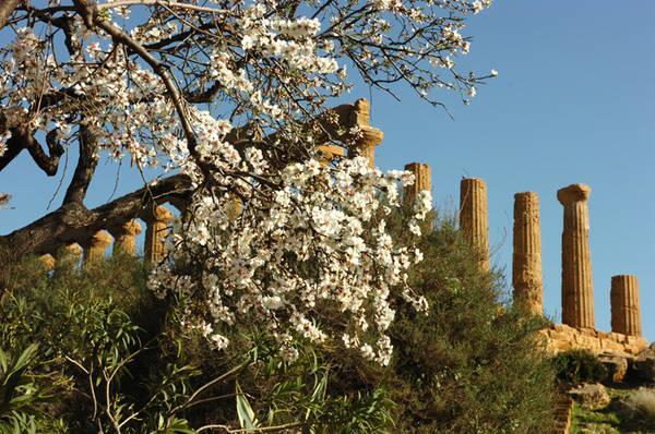 Casa Di Nonna Gina Apartman Agrigento Kültér fotó
